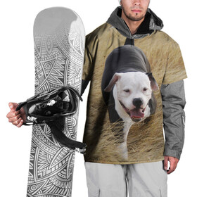 Накидка на куртку 3D с принтом Пит-буль на траве в Санкт-Петербурге, 100% полиэстер |  | амстафф | буль | пес | песик | питбули | питбуль | собака | собаки | стафф | терьер
