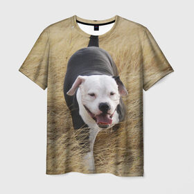 Мужская футболка 3D с принтом Пит-буль на траве в Санкт-Петербурге, 100% полиэфир | прямой крой, круглый вырез горловины, длина до линии бедер | амстафф | буль | пес | песик | питбули | питбуль | собака | собаки | стафф | терьер