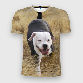 Мужская футболка 3D спортивная с принтом Пит-буль на траве в Санкт-Петербурге, 100% полиэстер с улучшенными характеристиками | приталенный силуэт, круглая горловина, широкие плечи, сужается к линии бедра | амстафф | буль | пес | песик | питбули | питбуль | собака | собаки | стафф | терьер