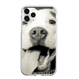 Чехол для iPhone 11 Pro матовый с принтом Пит-буль в Санкт-Петербурге, Силикон |  | Тематика изображения на принте: амстафф | буль | пес | песик | питбули | питбуль | собака | собаки | стафф | терьер