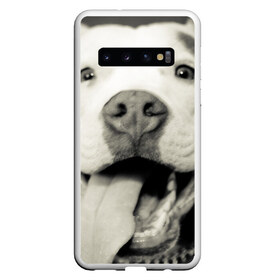 Чехол для Samsung Galaxy S10 с принтом Пит-буль в Санкт-Петербурге, Силикон | Область печати: задняя сторона чехла, без боковых панелей | амстафф | буль | пес | песик | питбули | питбуль | собака | собаки | стафф | терьер