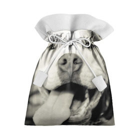 Подарочный 3D мешок с принтом Пит-буль в Санкт-Петербурге, 100% полиэстер | Размер: 29*39 см | Тематика изображения на принте: амстафф | буль | пес | песик | питбули | питбуль | собака | собаки | стафф | терьер