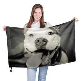 Флаг 3D с принтом Пит-буль в Санкт-Петербурге, 100% полиэстер | плотность ткани — 95 г/м2, размер — 67 х 109 см. Принт наносится с одной стороны | амстафф | буль | пес | песик | питбули | питбуль | собака | собаки | стафф | терьер