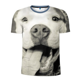 Мужская футболка 3D спортивная с принтом Пит-буль в Санкт-Петербурге, 100% полиэстер с улучшенными характеристиками | приталенный силуэт, круглая горловина, широкие плечи, сужается к линии бедра | амстафф | буль | пес | песик | питбули | питбуль | собака | собаки | стафф | терьер
