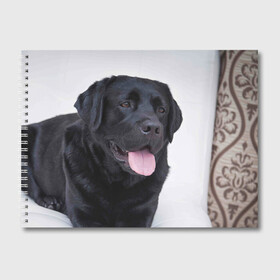 Альбом для рисования с принтом Черный лабрадор в Санкт-Петербурге, 100% бумага
 | матовая бумага, плотность 200 мг. | большая | золотистый | лабрадор | лабрадоры | палевый | песик | ретривер | собака | собаки