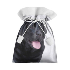 Подарочный 3D мешок с принтом Черный лабрадор в Санкт-Петербурге, 100% полиэстер | Размер: 29*39 см | большая | золотистый | лабрадор | лабрадоры | палевый | песик | ретривер | собака | собаки