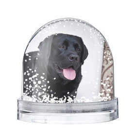 Снежный шар с принтом Черный лабрадор в Санкт-Петербурге, Пластик | Изображение внутри шара печатается на глянцевой фотобумаге с двух сторон | Тематика изображения на принте: большая | золотистый | лабрадор | лабрадоры | палевый | песик | ретривер | собака | собаки