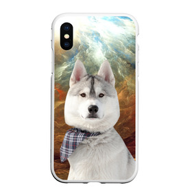 Чехол для iPhone XS Max матовый с принтом Хаски в Санкт-Петербурге, Силикон | Область печати: задняя сторона чехла, без боковых панелей | маламут | песик | собака | собаки | собачка | хаски