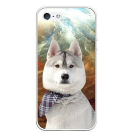 Чехол для iPhone 5/5S матовый с принтом Хаски в Санкт-Петербурге, Силикон | Область печати: задняя сторона чехла, без боковых панелей | маламут | песик | собака | собаки | собачка | хаски