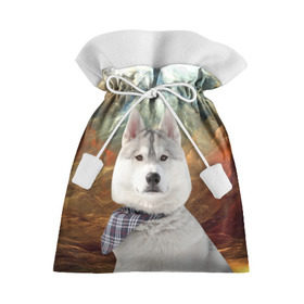 Подарочный 3D мешок с принтом Хаски в Санкт-Петербурге, 100% полиэстер | Размер: 29*39 см | Тематика изображения на принте: маламут | песик | собака | собаки | собачка | хаски