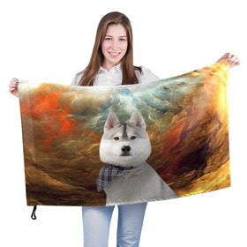 Флаг 3D с принтом Хаски в Санкт-Петербурге, 100% полиэстер | плотность ткани — 95 г/м2, размер — 67 х 109 см. Принт наносится с одной стороны | маламут | песик | собака | собаки | собачка | хаски