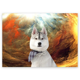 Поздравительная открытка с принтом Хаски в Санкт-Петербурге, 100% бумага | плотность бумаги 280 г/м2, матовая, на обратной стороне линовка и место для марки
 | маламут | песик | собака | собаки | собачка | хаски