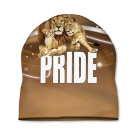 Шапка 3D с принтом Pride в Санкт-Петербурге, 100% полиэстер | универсальный размер, печать по всей поверхности изделия | lion | голова животного | кот | кошка | лев | хищник | царь | цвет