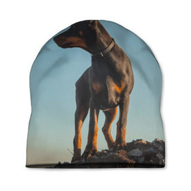 Шапка 3D с принтом Доберман в Санкт-Петербурге, 100% полиэстер | универсальный размер, печать по всей поверхности изделия | доберман | доберманы | пес | песик | псы | собака | собаки