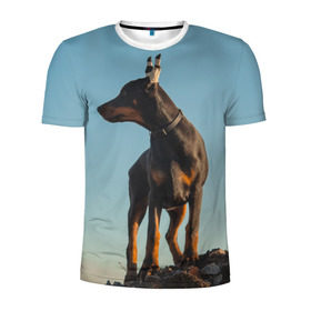 Мужская футболка 3D спортивная с принтом Доберман в Санкт-Петербурге, 100% полиэстер с улучшенными характеристиками | приталенный силуэт, круглая горловина, широкие плечи, сужается к линии бедра | доберман | доберманы | пес | песик | псы | собака | собаки