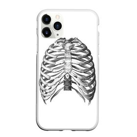 Чехол для iPhone 11 Pro Max матовый с принтом Ребра в Санкт-Петербурге, Силикон |  | bones | halloween | skull | скелет | скелеты | хеллоиун | хэллоуин | хэлоуин | череп | черепа