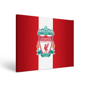 Холст прямоугольный с принтом Liverpool FC в Санкт-Петербурге, 100% ПВХ |  | Тематика изображения на принте: англия | клуб | ливерпуль | фк | футбол | футбольный