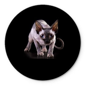 Коврик круглый с принтом Сфинкс в Санкт-Петербурге, резина и полиэстер | круглая форма, изображение наносится на всю лицевую часть | взгляд | глаза | голова животного | киска | кот | котёнок | кошка | прикольные картинки