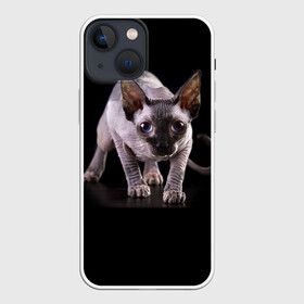 Чехол для iPhone 13 mini с принтом Сфинкс в Санкт-Петербурге,  |  | взгляд | глаза | голова животного | киска | кот | котёнок | кошка | прикольные картинки