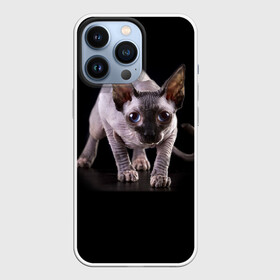 Чехол для iPhone 13 Pro с принтом Сфинкс в Санкт-Петербурге,  |  | взгляд | глаза | голова животного | киска | кот | котёнок | кошка | прикольные картинки