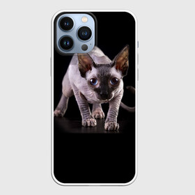 Чехол для iPhone 13 Pro Max с принтом Сфинкс в Санкт-Петербурге,  |  | взгляд | глаза | голова животного | киска | кот | котёнок | кошка | прикольные картинки