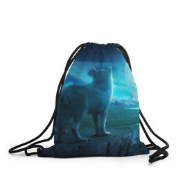 Рюкзак-мешок 3D с принтом Blue Moon в Санкт-Петербурге, 100% полиэстер | плотность ткани — 200 г/м2, размер — 35 х 45 см; лямки — толстые шнурки, застежка на шнуровке, без карманов и подкладки | пейзаж | фантастический