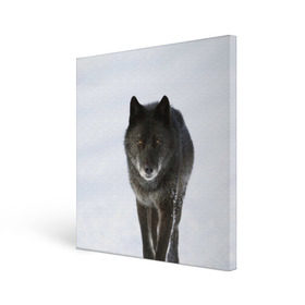 Холст квадратный с принтом Черный волк в Санкт-Петербурге, 100% ПВХ |  | дикий | зима