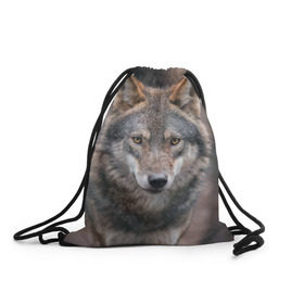 Рюкзак-мешок 3D с принтом Wolf в Санкт-Петербурге, 100% полиэстер | плотность ткани — 200 г/м2, размер — 35 х 45 см; лямки — толстые шнурки, застежка на шнуровке, без карманов и подкладки | зверь | лес