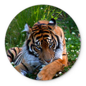 Коврик круглый с принтом Скромный тигр в Санкт-Петербурге, резина и полиэстер | круглая форма, изображение наносится на всю лицевую часть | дикие | лев | милые | новинки | орел | популярные | прикольные | природа | птицы | тигр | яркие