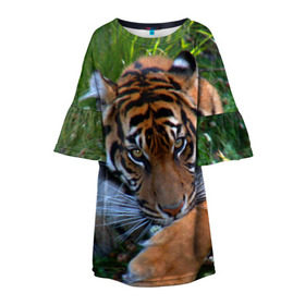 Детское платье 3D с принтом Скромный тигр в Санкт-Петербурге, 100% полиэстер | прямой силуэт, чуть расширенный к низу. Круглая горловина, на рукавах — воланы | дикие | лев | милые | новинки | орел | популярные | прикольные | природа | птицы | тигр | яркие