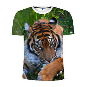 Мужская футболка 3D спортивная с принтом Скромный тигр в Санкт-Петербурге, 100% полиэстер с улучшенными характеристиками | приталенный силуэт, круглая горловина, широкие плечи, сужается к линии бедра | дикие | лев | милые | новинки | орел | популярные | прикольные | природа | птицы | тигр | яркие