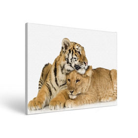Холст прямоугольный с принтом Тигр и львица в Санкт-Петербурге, 100% ПВХ |  | дикие | милые | природа | тигр | яркие