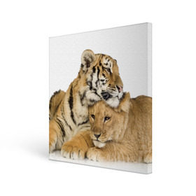 Холст квадратный с принтом Тигр и львица в Санкт-Петербурге, 100% ПВХ |  | дикие | милые | природа | тигр | яркие
