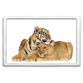 Магнит 45*70 с принтом Тигр и львица в Санкт-Петербурге, Пластик | Размер: 78*52 мм; Размер печати: 70*45 | Тематика изображения на принте: дикие | милые | природа | тигр | яркие