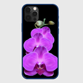 Чехол для iPhone 12 Pro с принтом Орхидея в Санкт-Петербурге, силикон | область печати: задняя сторона чехла, без боковых панелей | орхидея | флора | цветок