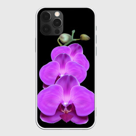 Чехол для iPhone 12 Pro Max с принтом Орхидея в Санкт-Петербурге, Силикон |  | орхидея | флора | цветок