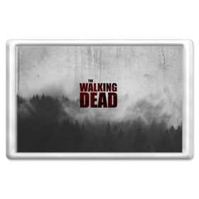 Магнит 45*70 с принтом The Walking Dead в Санкт-Петербурге, Пластик | Размер: 78*52 мм; Размер печати: 70*45 | the walking dead | америка | апокалипсис | глен | дерил | зомби | карл | кровь | рик | сша | ходячие мертвецы