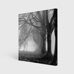Холст квадратный с принтом Туман в лесу в Санкт-Петербурге, 100% ПВХ |  | Тематика изображения на принте: black   white | fog | forest | morning | photo | silhouette | trees | деревья | лес | силуэт | туман | утро | фото | черно   белое
