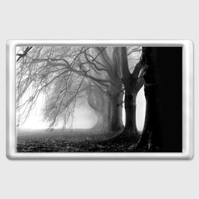 Магнит 45*70 с принтом Туман в лесу в Санкт-Петербурге, Пластик | Размер: 78*52 мм; Размер печати: 70*45 | Тематика изображения на принте: black   white | fog | forest | morning | photo | silhouette | trees | деревья | лес | силуэт | туман | утро | фото | черно   белое