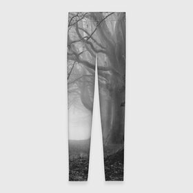 Леггинсы 3D с принтом Туман в лесу в Санкт-Петербурге, 80% полиэстер, 20% эластан | Эластичный пояс, зауженные к низу, низкая посадка | black   white | fog | forest | morning | photo | silhouette | trees | деревья | лес | силуэт | туман | утро | фото | черно   белое