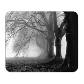 Коврик прямоугольный с принтом Туман в лесу в Санкт-Петербурге, натуральный каучук | размер 230 х 185 мм; запечатка лицевой стороны | black   white | fog | forest | morning | photo | silhouette | trees | деревья | лес | силуэт | туман | утро | фото | черно   белое
