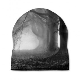 Шапка 3D с принтом Туман в лесу в Санкт-Петербурге, 100% полиэстер | универсальный размер, печать по всей поверхности изделия | black   white | fog | forest | morning | photo | silhouette | trees | деревья | лес | силуэт | туман | утро | фото | черно   белое