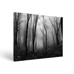 Холст прямоугольный с принтом Туман в лесу в Санкт-Петербурге, 100% ПВХ |  | black   white | fog | forest | morning | photo | silhouette | trees | деревья | лес | силуэт | туман | утро | фото | черно   белое