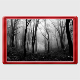 Магнит 45*70 с принтом Туман в лесу в Санкт-Петербурге, Пластик | Размер: 78*52 мм; Размер печати: 70*45 | black   white | fog | forest | morning | photo | silhouette | trees | деревья | лес | силуэт | туман | утро | фото | черно   белое