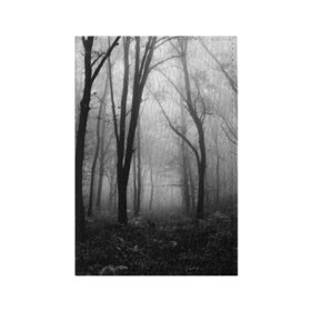 Обложка для паспорта матовая кожа с принтом Туман в лесу в Санкт-Петербурге, натуральная матовая кожа | размер 19,3 х 13,7 см; прозрачные пластиковые крепления | black   white | fog | forest | morning | photo | silhouette | trees | деревья | лес | силуэт | туман | утро | фото | черно   белое