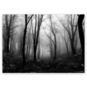 Поздравительная открытка с принтом Туман в лесу в Санкт-Петербурге, 100% бумага | плотность бумаги 280 г/м2, матовая, на обратной стороне линовка и место для марки
 | black   white | fog | forest | morning | photo | silhouette | trees | деревья | лес | силуэт | туман | утро | фото | черно   белое