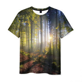 Мужская футболка 3D с принтом Утро в лесу в Санкт-Петербурге, 100% полиэфир | прямой крой, круглый вырез горловины, длина до линии бедер | Тематика изображения на принте: bright | fog | forest | morning | sun | tree | trees | дерево | деревья | лес | солнце | туман | утро | яркое