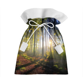 Подарочный 3D мешок с принтом Утро в лесу в Санкт-Петербурге, 100% полиэстер | Размер: 29*39 см | bright | fog | forest | morning | sun | tree | trees | дерево | деревья | лес | солнце | туман | утро | яркое