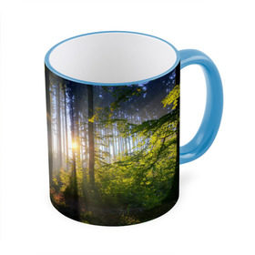 Кружка 3D с принтом Утро в лесу в Санкт-Петербурге, керамика | ёмкость 330 мл | bright | fog | forest | morning | sun | tree | trees | дерево | деревья | лес | солнце | туман | утро | яркое