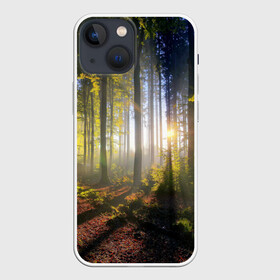 Чехол для iPhone 13 mini с принтом Утро в лесу в Санкт-Петербурге,  |  | bright | fog | forest | morning | sun | tree | trees | дерево | деревья | лес | солнце | туман | утро | яркое